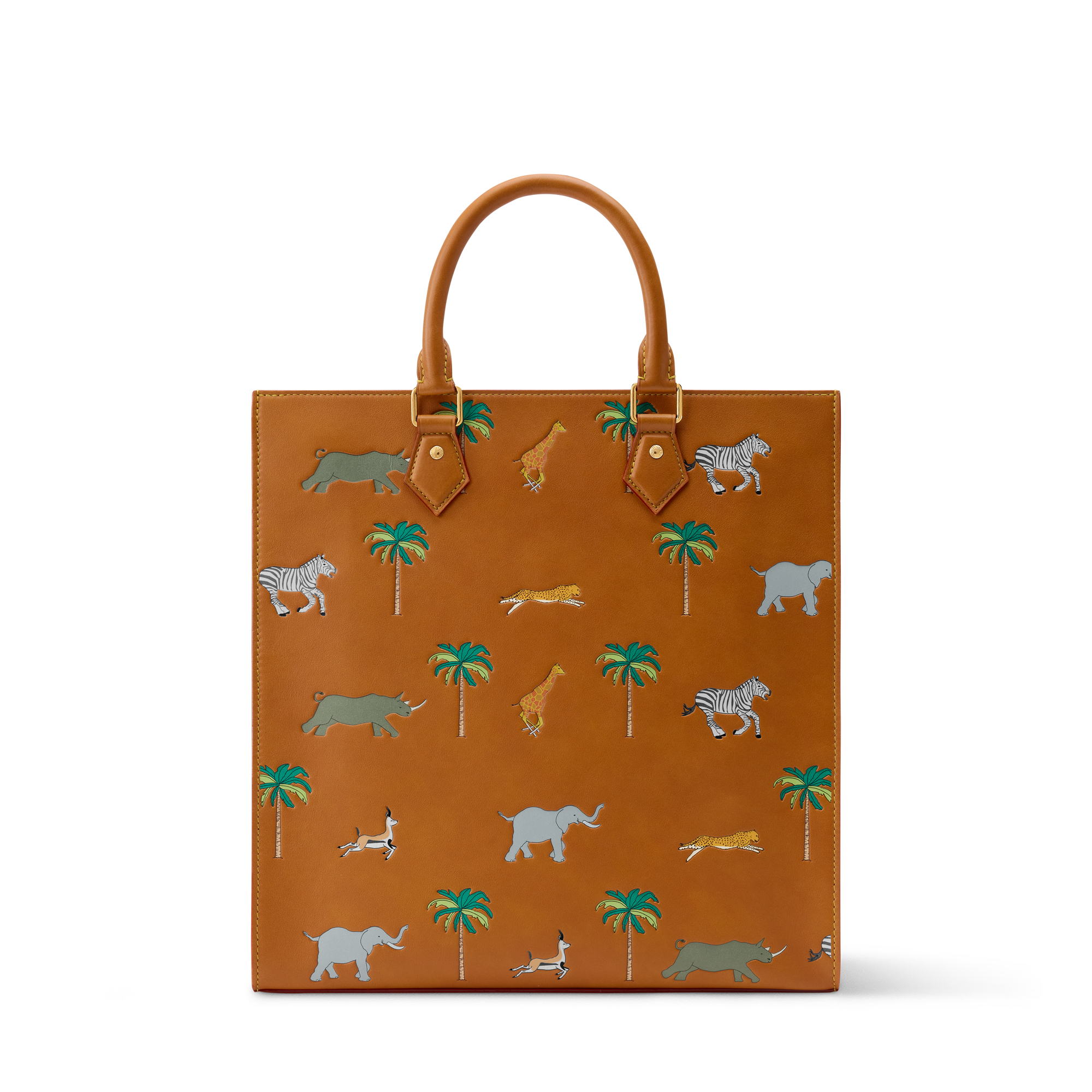 Sac Plat x The Darjeeling Limited Other Leathers - Men Bags M28364